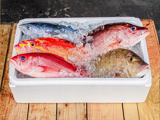 カンパチ 一本丸ごと 活〆